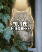 Your Pet Goes Here