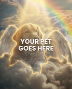 Your Pet Goes Here