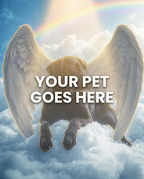 Your Pet Goes Here