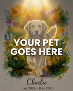 Your Pet Goes Here
