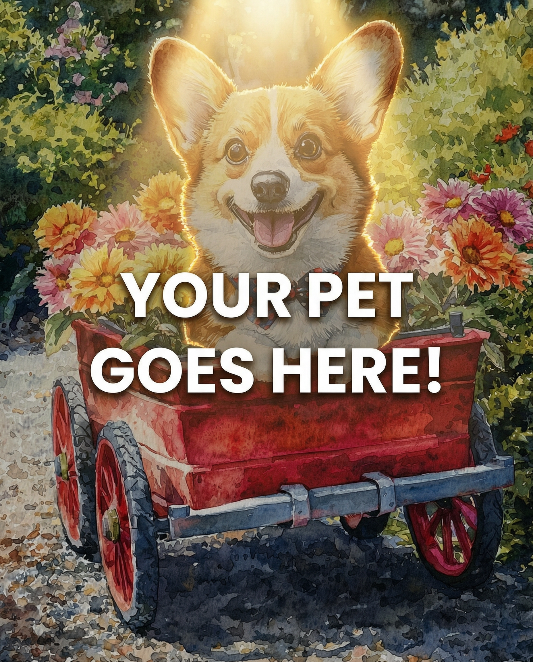 Your Pet Goes Here