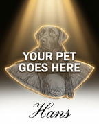 Your Pet Goes Here