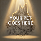 Your Pet Goes Here