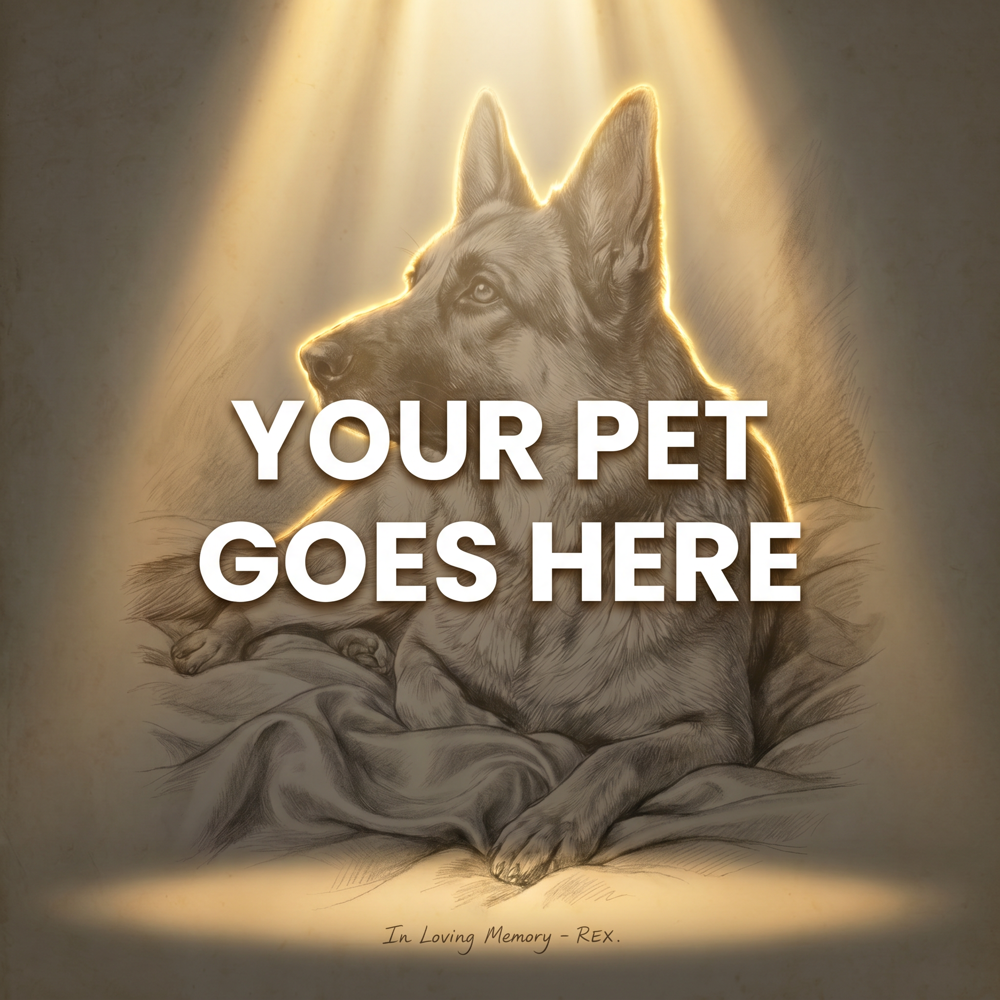 Your Pet Goes Here