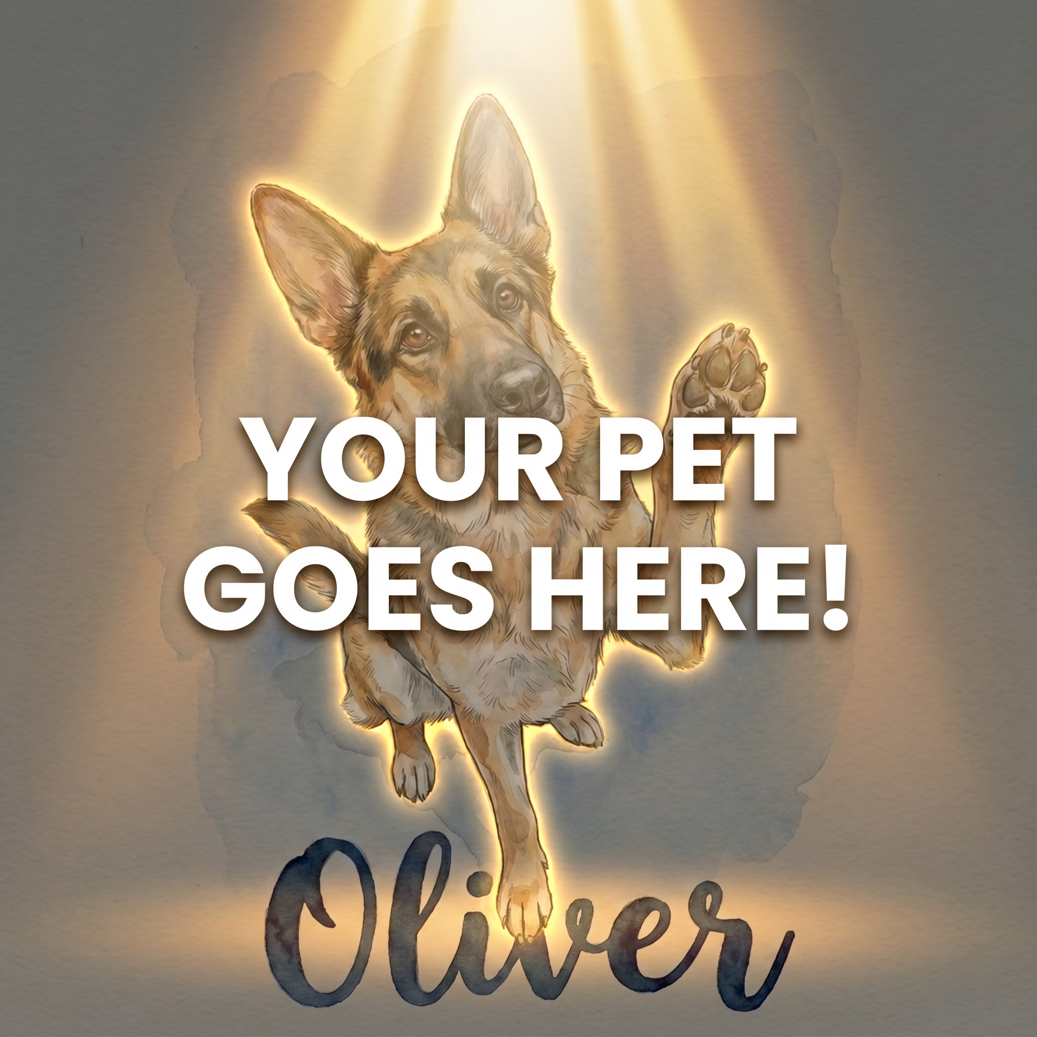 Your Pet Goes Here