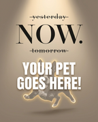 Your Pet Goes Here