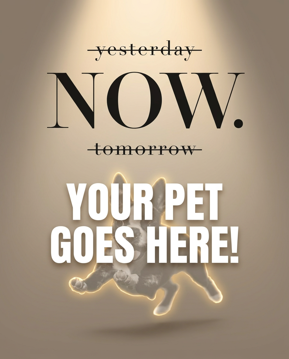 Your Pet Goes Here