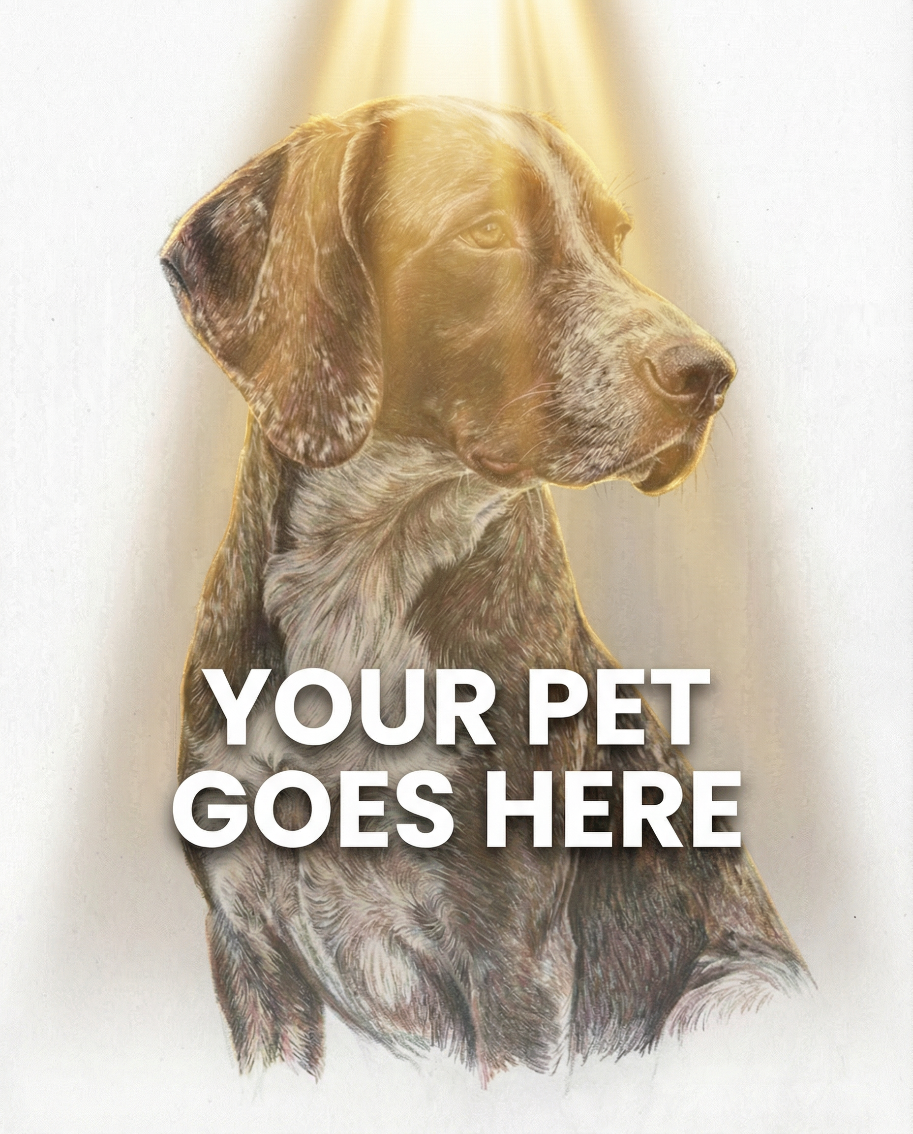 Your Pet Goes Here