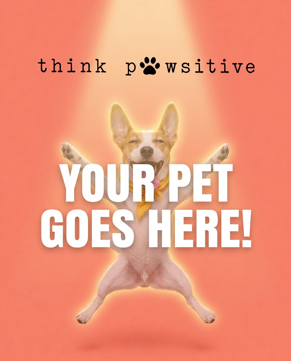 Your Pet Goes Here