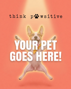 Your Pet Goes Here