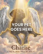 Your Pet Goes Here
