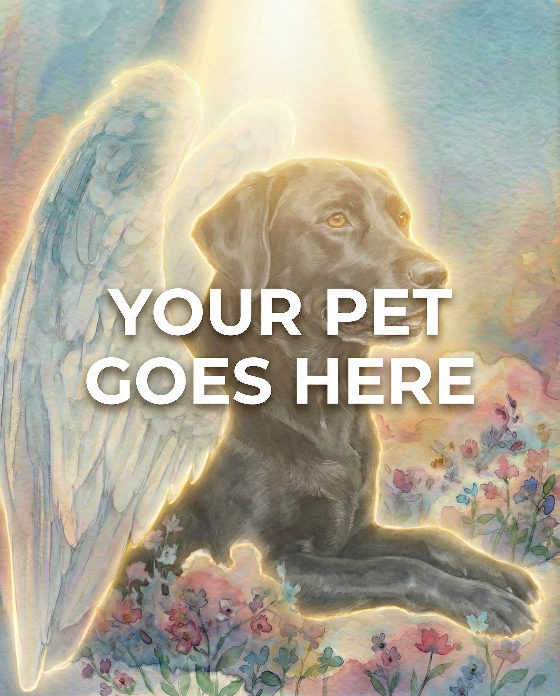 Your Pet Goes Here