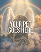 Your Pet Goes Here