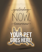 Your Pet Goes Here