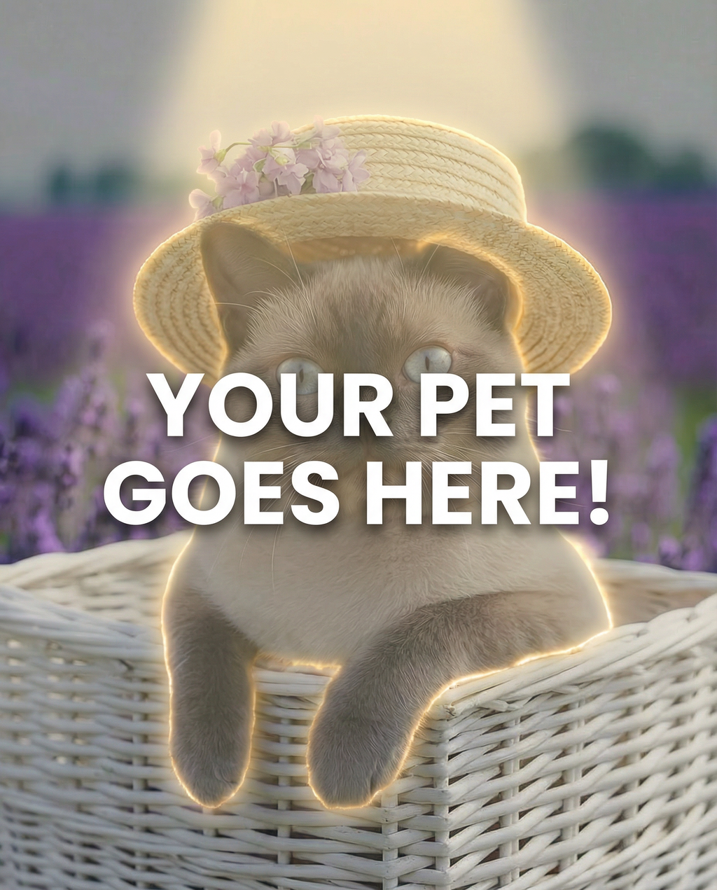 Your Pet Goes Here
