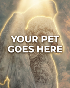 Your Pet Goes Here