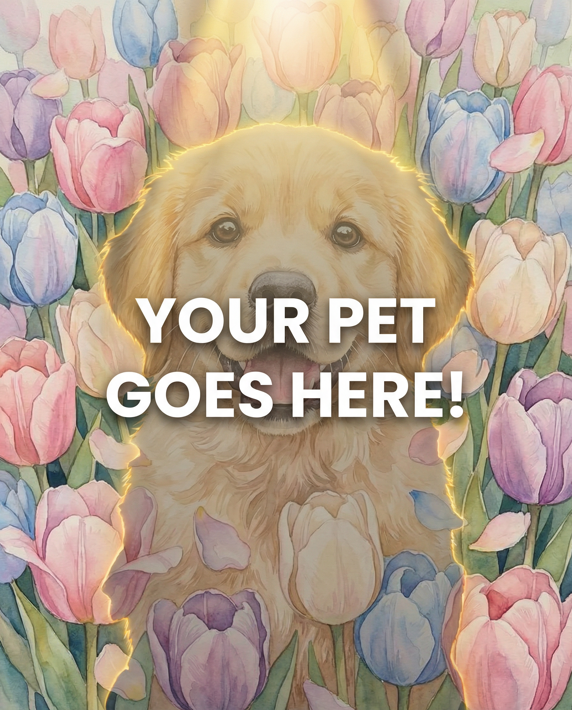 Your Pet Goes Here