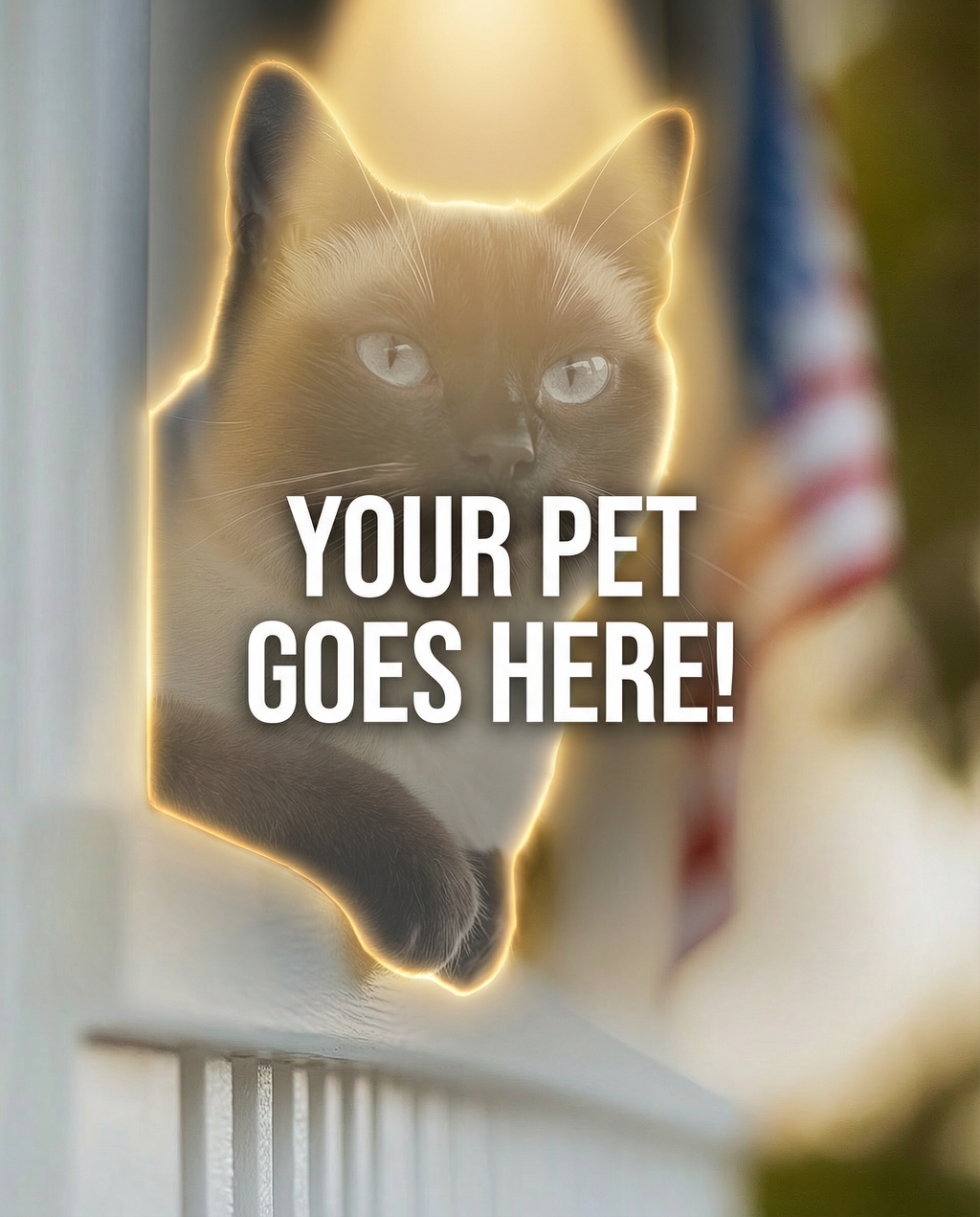 Your Pet Goes Here