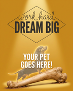 Your Pet Goes Here