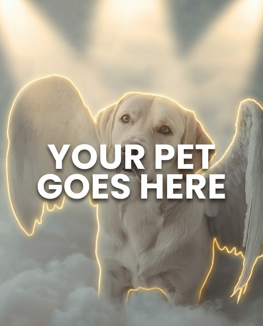 Your Pet Goes Here