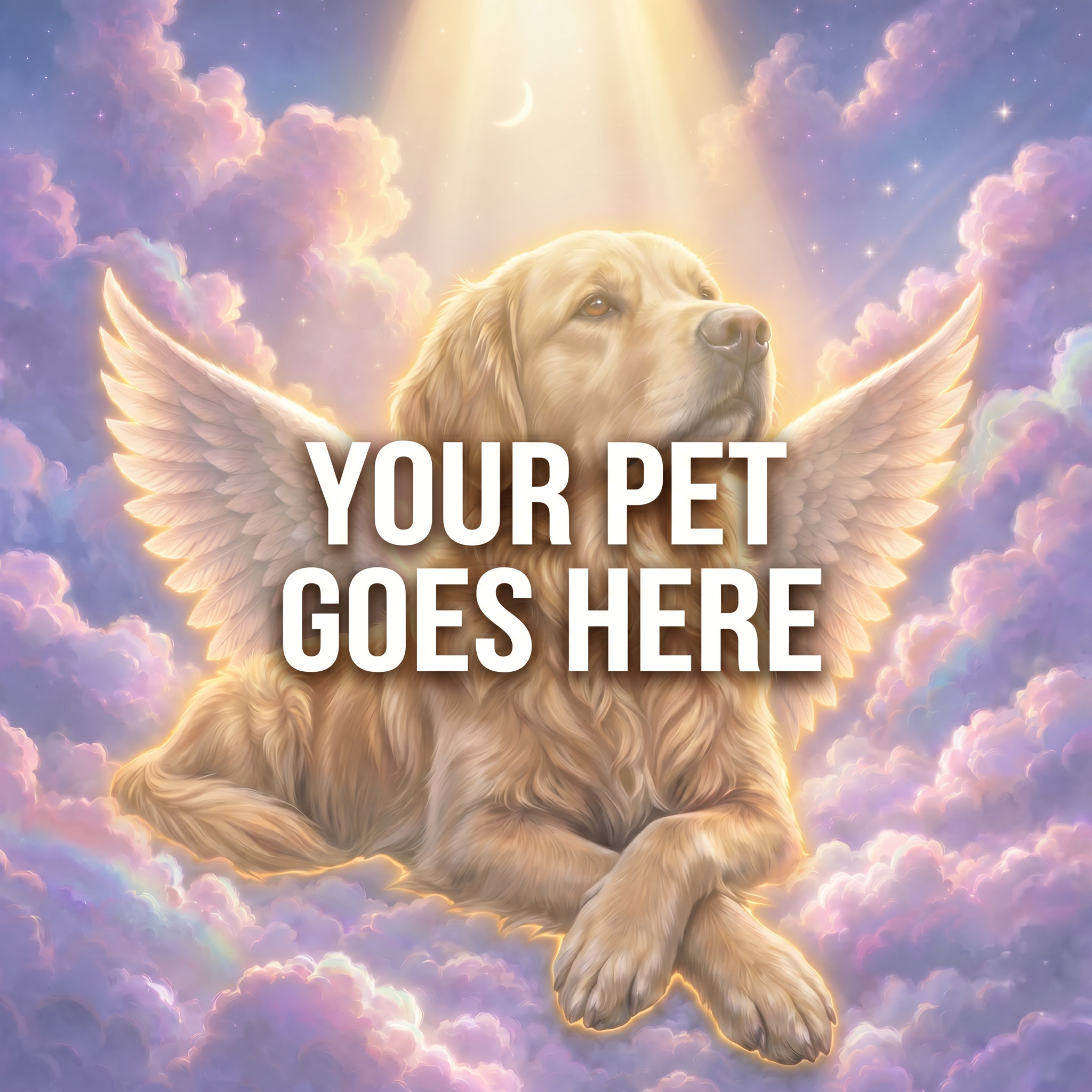 Your Pet Goes Here
