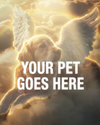 Your Pet Goes Here
