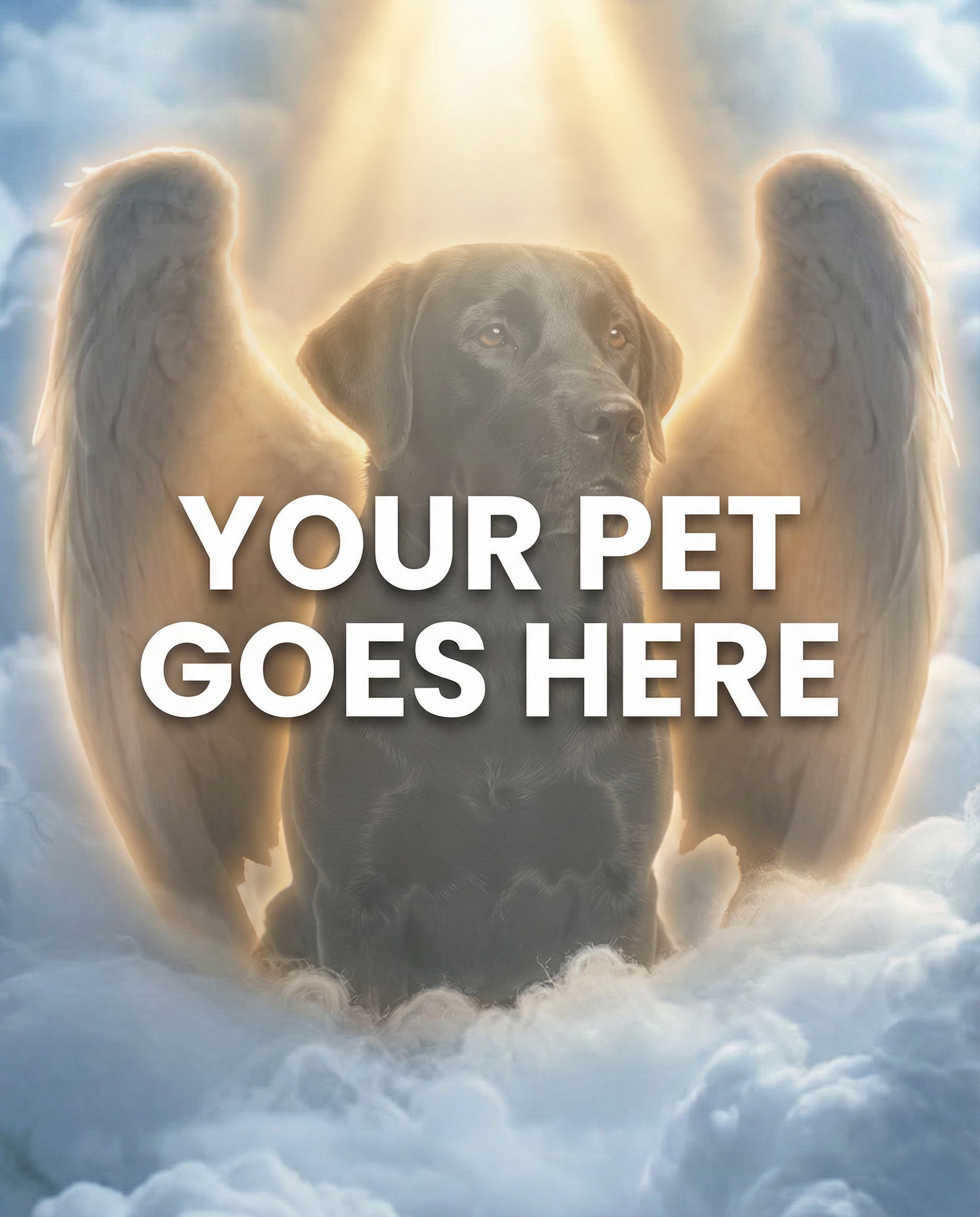 Your Pet Goes Here