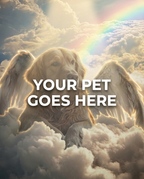 Your Pet Goes Here