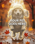 Your Pet Goes Here