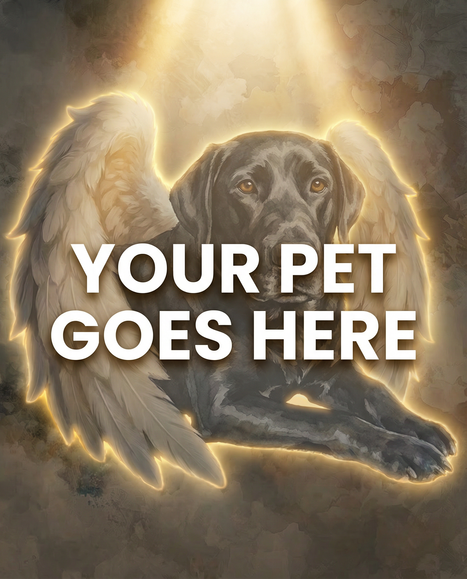 Your Pet Goes Here