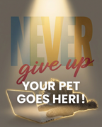 Your Pet Goes Here