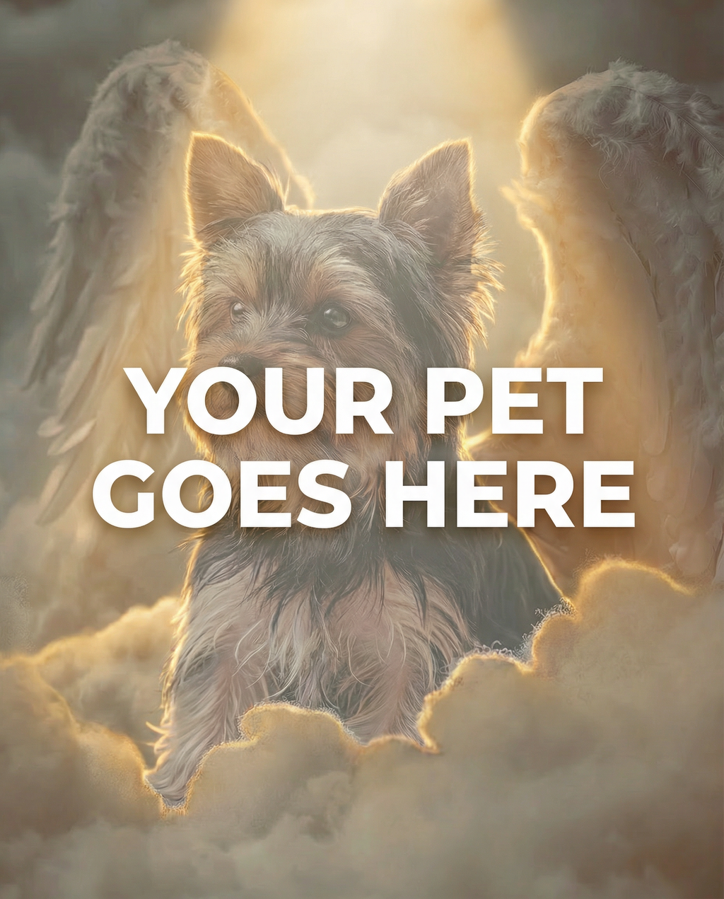 Your Pet Goes Here
