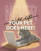 Your Pet Goes Here