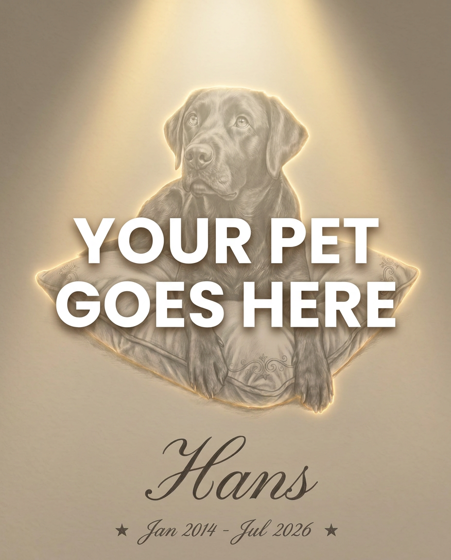 Your Pet Goes Here