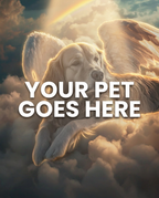 Your Pet Goes Here