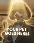 Your Pet Goes Here