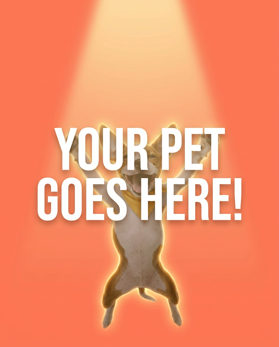 Your Pet Goes Here
