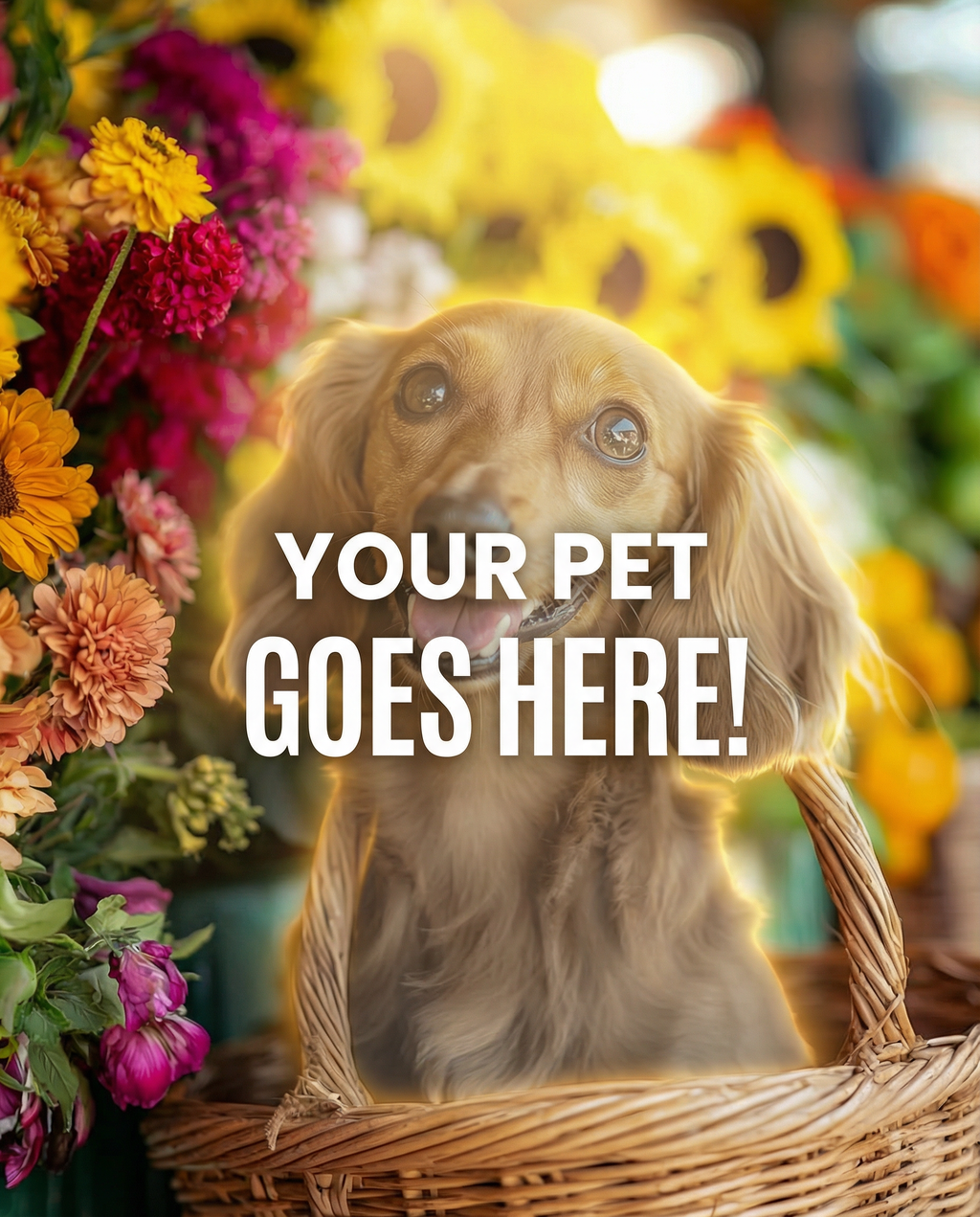 Your Pet Goes Here