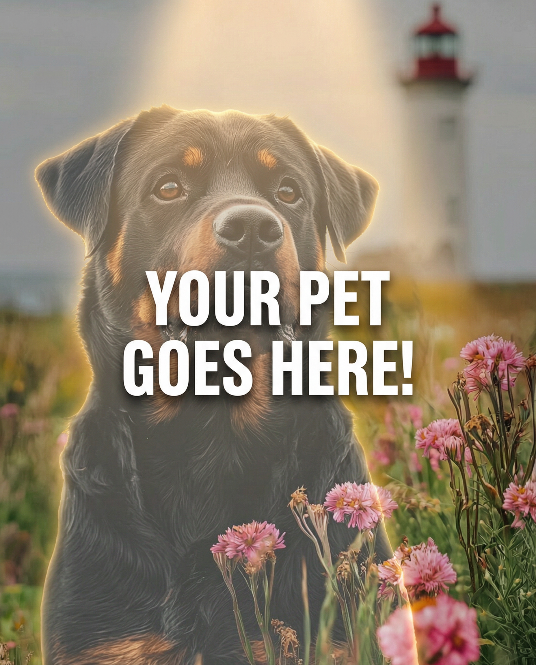 Your Pet Goes Here