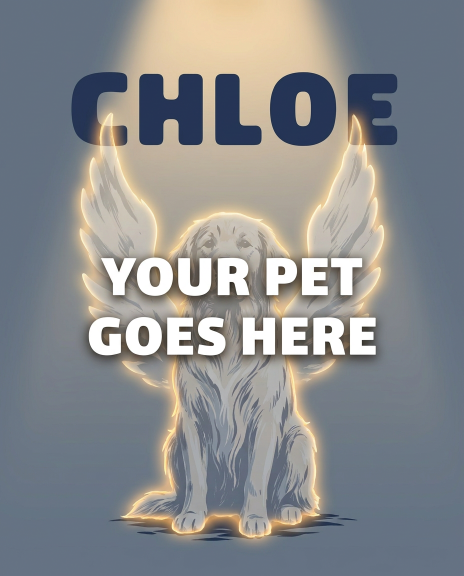 Your Pet Goes Here