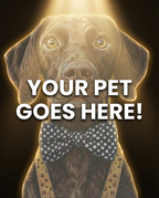 Your Pet Goes Here