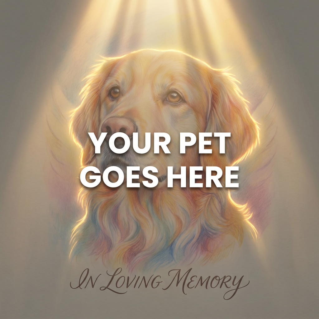 Your Pet Goes Here