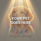 Your Pet Goes Here