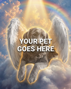 Your Pet Goes Here