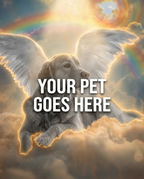 Your Pet Goes Here