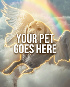 Your Pet Goes Here