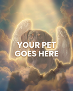 Your Pet Goes Here