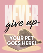 Your Pet Goes Here
