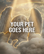Your Pet Goes Here