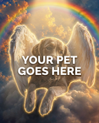 Your Pet Goes Here